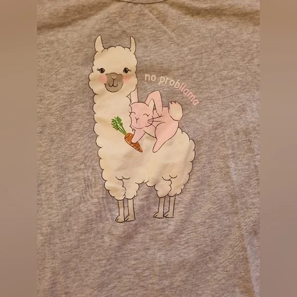 Peter Alexander llama Pajama set XL - Picture 9 of 10